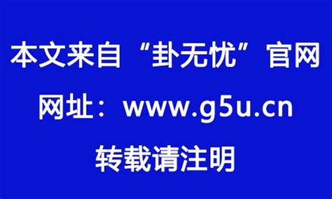 1982 屬|82年属什么生肖 1982年与什么生肖合作最佳